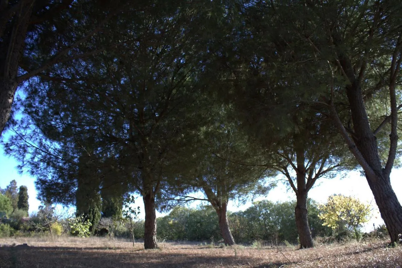 Finca Rural Santa Moguer Country house
